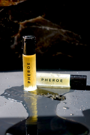The Scent Suite
